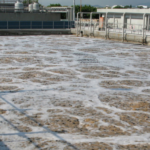 MBBR processes are ideal for treatment of wastewater from beverage plants
