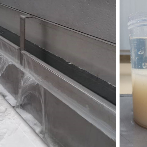 Chemical test work and actual treatment of wastewater in a DAF system at a further poultry processing plant
